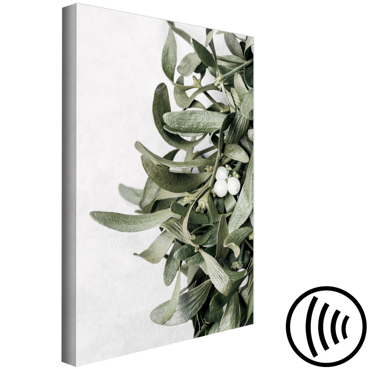 Cuadro decorativo Hojas de muérdago - invierno, fotografía botánica sobre fondo blanco 130728 additionalImage 6