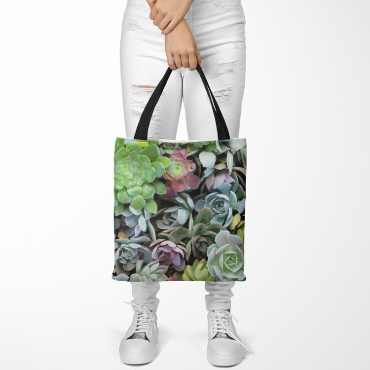 Shoppingväska Variety of succulents - a plant composition with rich detailing 147528 additionalImage 2