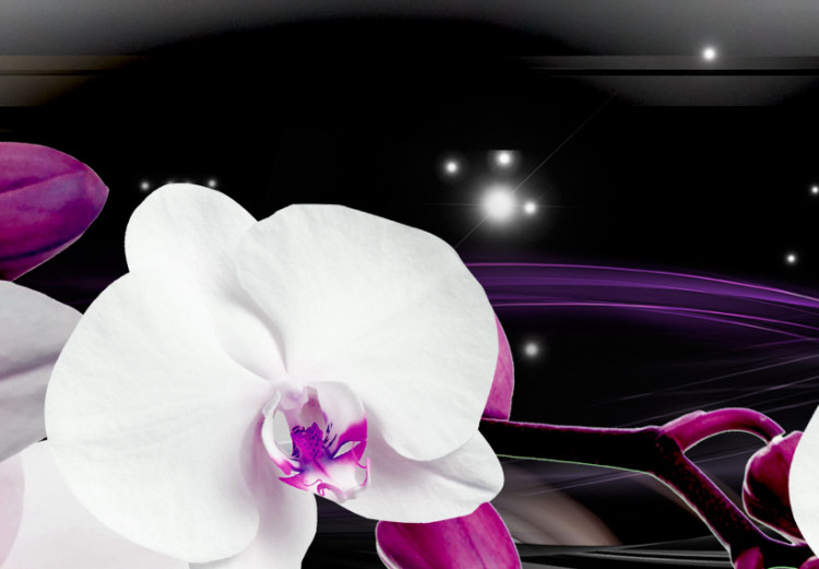 Quadro su tela Orchidee su sfondo nero 50028 additionalImage 5