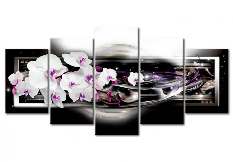 Orchids on a black background