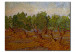 Tableau reproduction Olive Grove 52328