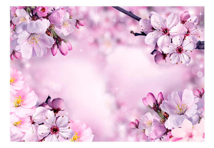 Photo Wallpaper Spring - purple composition of cherry blossoms on a background with flash effect 62328 additionalImage 1