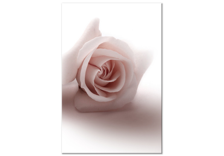 Obraz na płótnie Kwiatowy blask glamour (1-częściowy) - delikatna i pastelowa róża