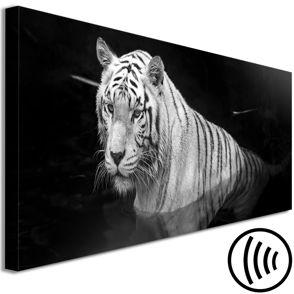 Obraz Lśniący Tygrys (1-częściowy) Czarno-biały Wąski