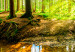 Obraz Spacer po lesie (4-częściowy) 125638 additionalThumb 5