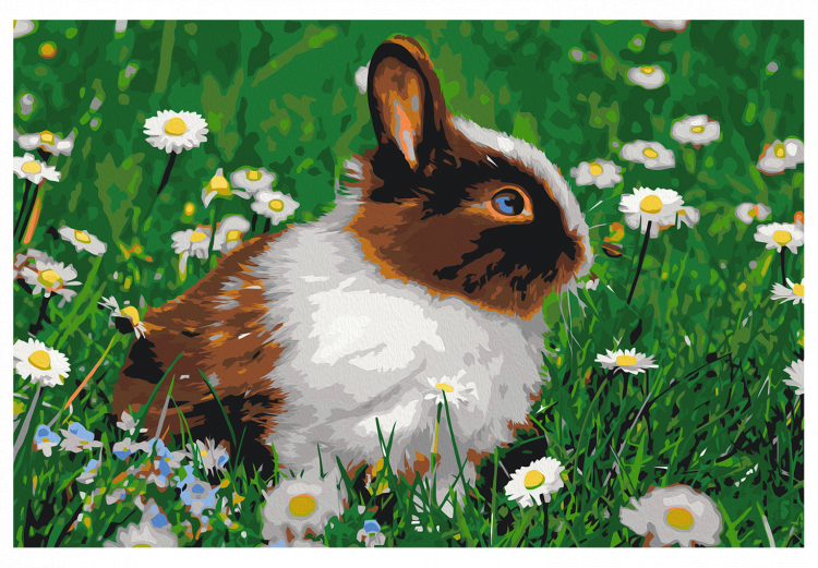 Wandbild zum Ausmalen Rabbit in the Meadow 134538 additionalImage 7