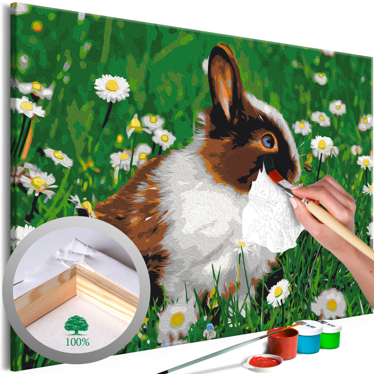 Paint by Number Kit Rabbit in the Meadow 134538