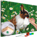 Paint by number Rabbit in the Meadow 134538