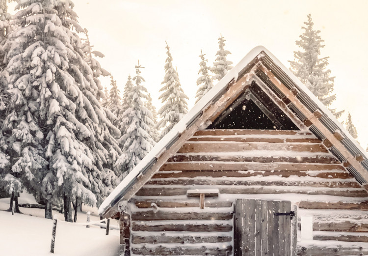 Plakat Zimowa chata - pejzaż wschodu słońca nad górskim domkiem i lasem 148038 additionalImage 28