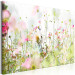 Obraz Kolorowa łąka - polna roślinność w wiosennym jasnym blasku 149738 additionalThumb 2