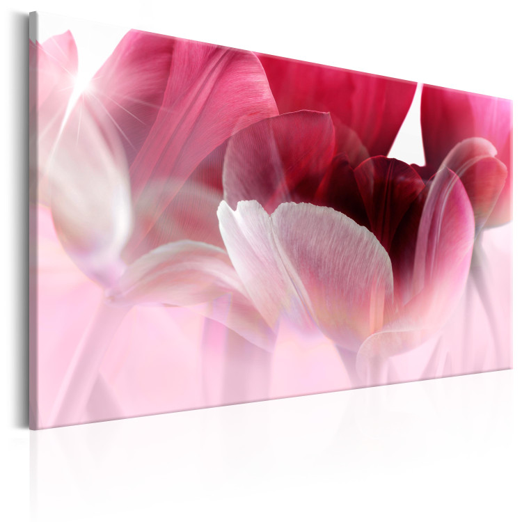 Obraz Natura: Różowe tulipany 98038 additionalImage 2