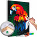 Paint by Number Kit Parrot 107148