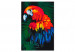 Wandbild zum Ausmalen Papagei 107148 additionalThumb 5