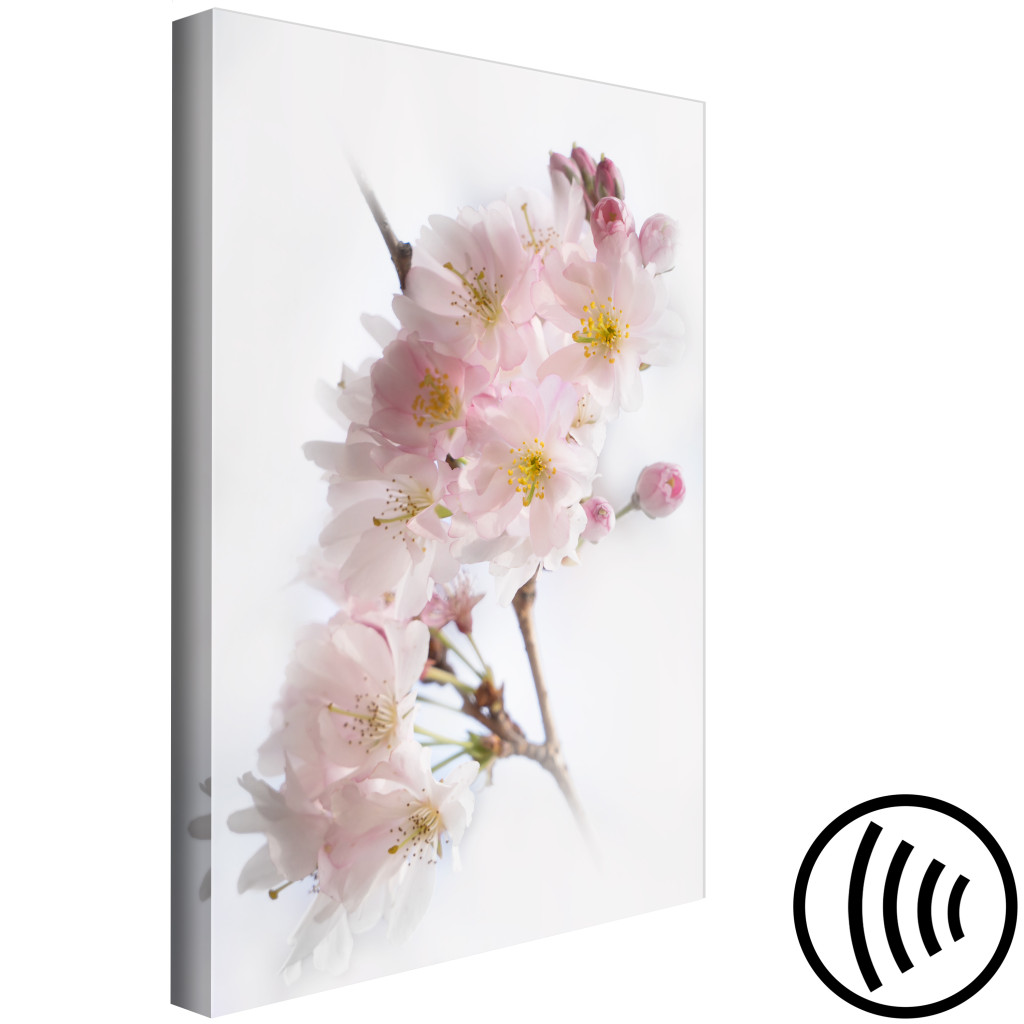 Schilderij  Andere Bloemen: Spring In Japan (1 Part) Vertical