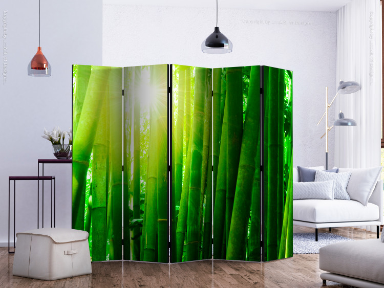 Dekorativer Paravent Sun and bamboo II [Room Dividers] 133248 additionalImage 2