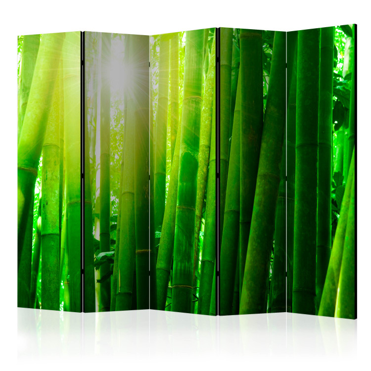 Dekorativer Paravent Sun and bamboo II [Room Dividers] 133248