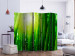 Dekorativer Paravent Sun and bamboo II [Room Dividers] 133248 additionalThumb 2