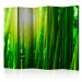 Room Divider Screen Sun and bamboo II [Room Dividers] 133248
