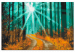 Wandbild zum Malen nach Zahlen Autumn Forest  138148 additionalThumb 3