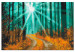 Wandbild zum Malen nach Zahlen Autumn Forest  138148 additionalThumb 4
