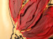 Tableau mural Tulipes (4 pièces) - Coquelicots abstraits rouges avec motifs 47148 additionalThumb 2