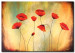 Cadre déco Coquelicots (1 pièce) - Fleurs sur fond aux couleurs de la nature 48548