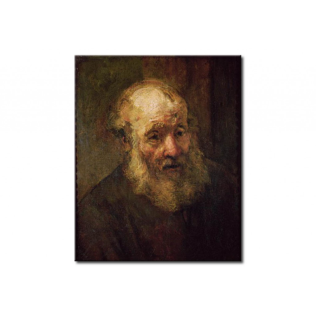 Reprodukcja Obrazu Head Of An Old Man