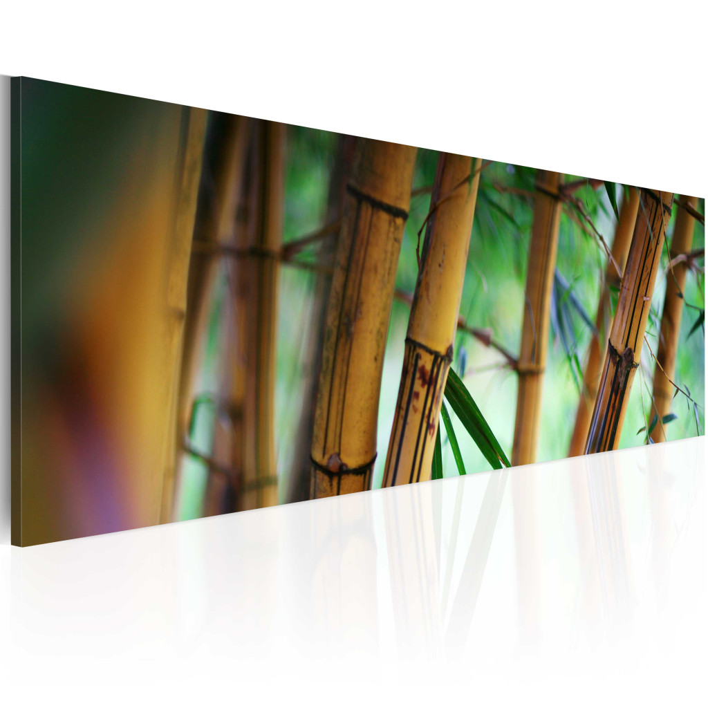 Schilderij  Zen: Wild Bamboos