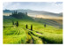 Wall Mural Italian Tuscany - Landscape of Countryside with Trees on Green Meadows 59848 additionalThumb 1