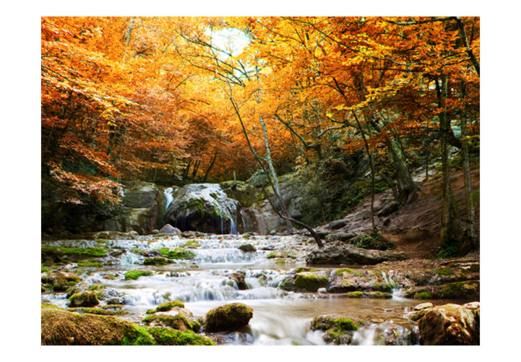 Wall Mural Waterfalls - Landscape of Rocky River and Rocks in the Middle of an Autumn Forest 60048 additionalImage 1