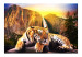 Fototapeta Spokój natury - piękny tygrys leżący na kamieniach przy wodospadzie 61348 additionalThumb 1