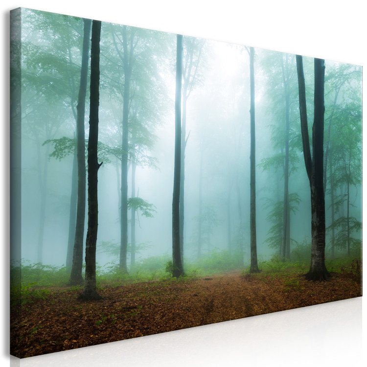 Canvas Print Misty Morning (1 Part) Wide 108258 additionalImage 2