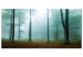 Canvas Print Misty Morning (1 Part) Wide 108258