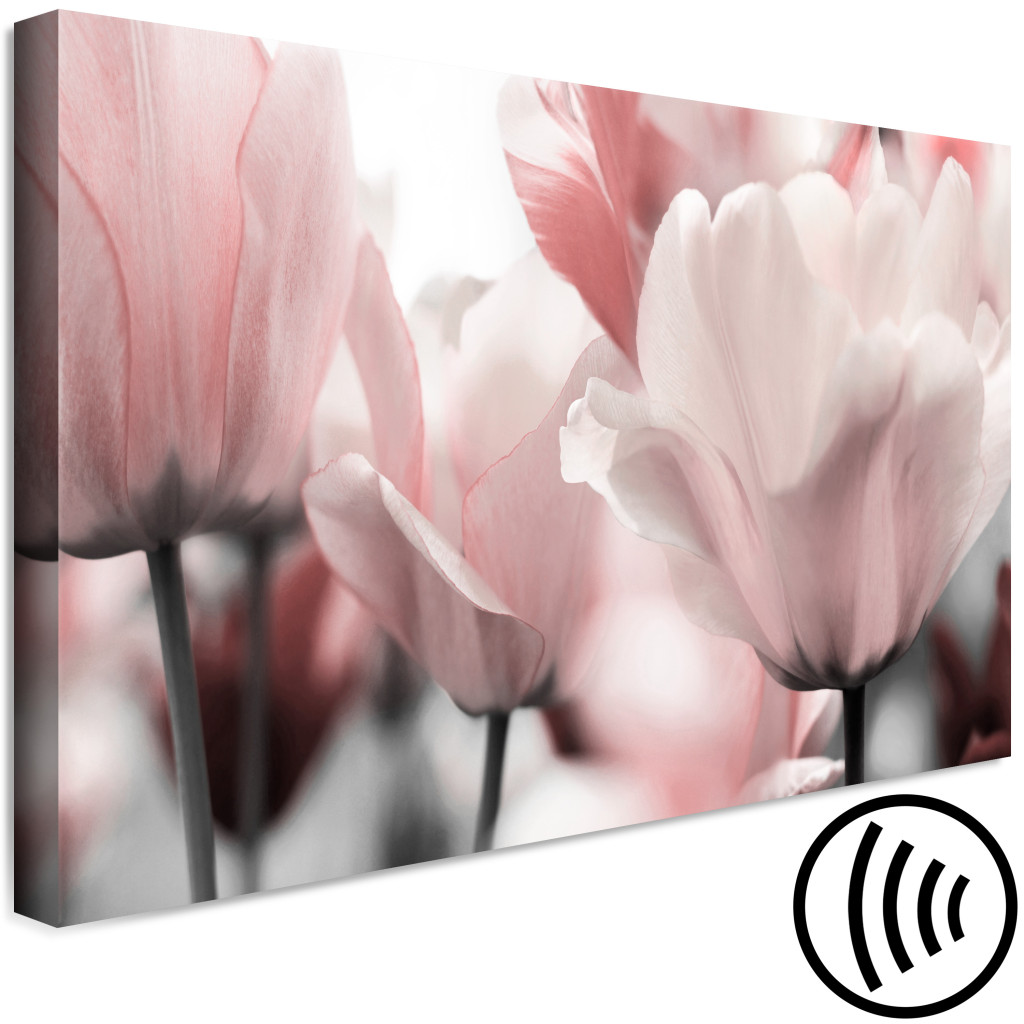 Schilderij  Tulpen: Lentebloemblaadjes (1-delige Serie) - Tulpbloem In Een Roze Tint