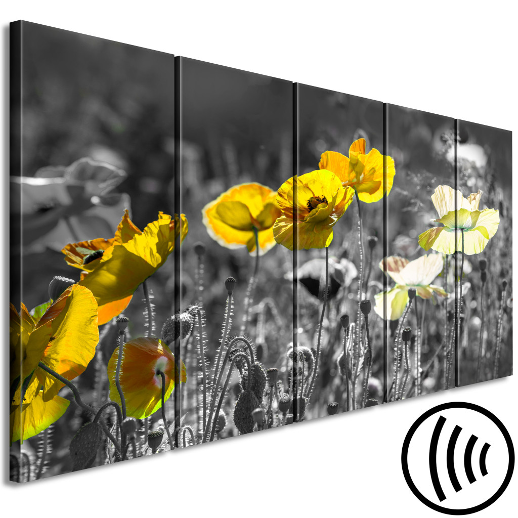 Schilderij  Klaprozen: Gele Klaprozen In Een Grijze Weide - 5-delige Foto Met Gele Bloemen