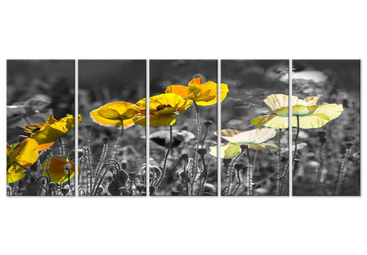 Canvastavla Gula vallmor på en grå äng - 5 delar foto med gula blommor