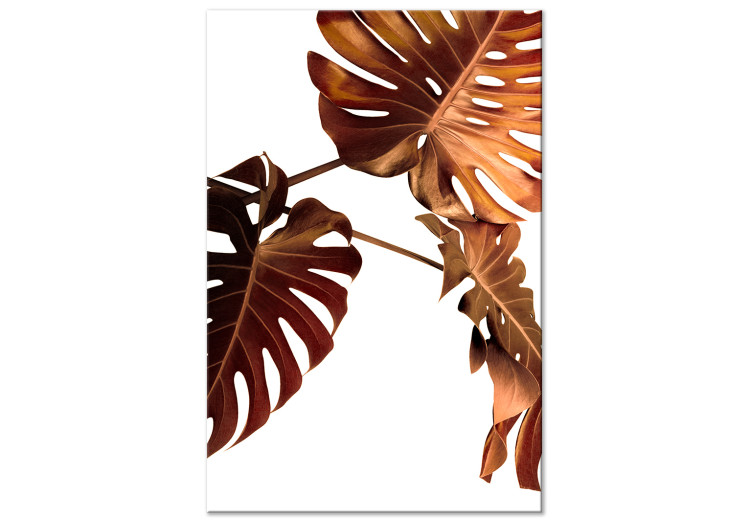 Obraz na płótnie Liście Monstery - botaniczna kompozycja z trzema złotymi liśćmi monstery na białym tle