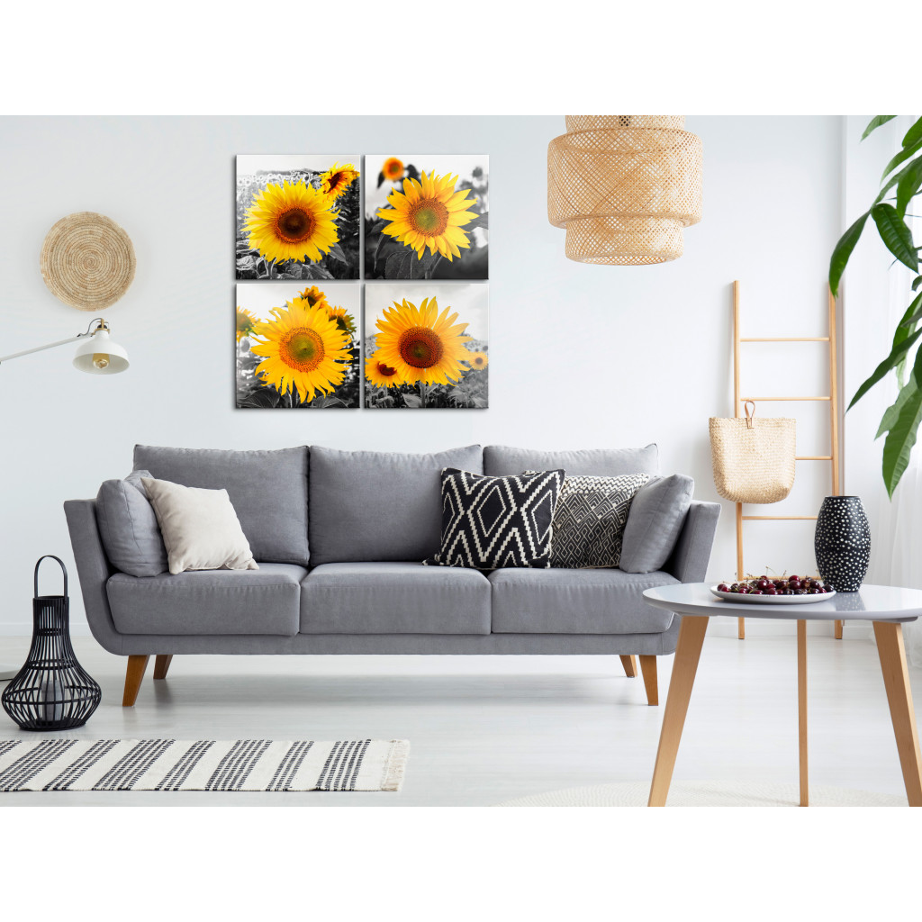 Schilderij  Zonnebloemen: Sunflower Quartet (4 Parts)