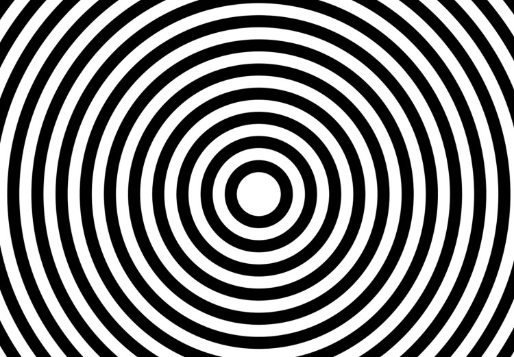 Canvas Hypnotic lines - black and white abstraction depicting circles 125658 additionalImage 5