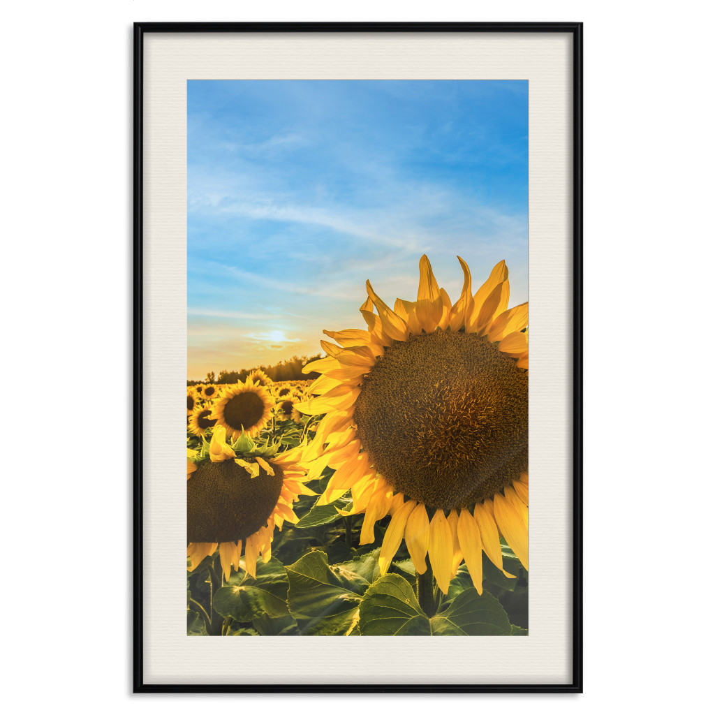 Poster Decorativo Peace Flowers [Poster]