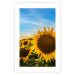 Poster Peace Flowers [Poster] 142458 additionalThumb 20