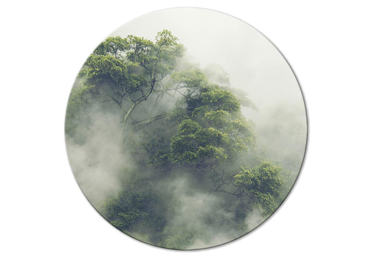 Round Canvas In the Morning - a Green Branchy Tree Shrouded in Mist 149058