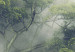 Round Canvas In the Morning - a Green Branchy Tree Shrouded in Mist 149058 additionalThumb 4