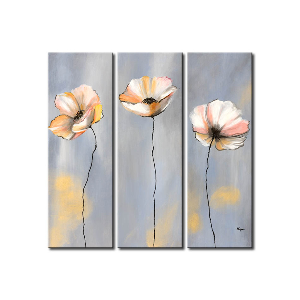 Schilderij  Klaprozen: Pastelklaprozen (3-delig) - Afzonderlijke Lichte Bloemen Op Een Grijze Achtergrond