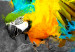 Obraz Rajski ptak 55658 additionalThumb 5