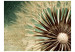 Wall Mural Close-up of a Dandelion - Plant on a Decoupage-style Background with Texts 60358 additionalThumb 1