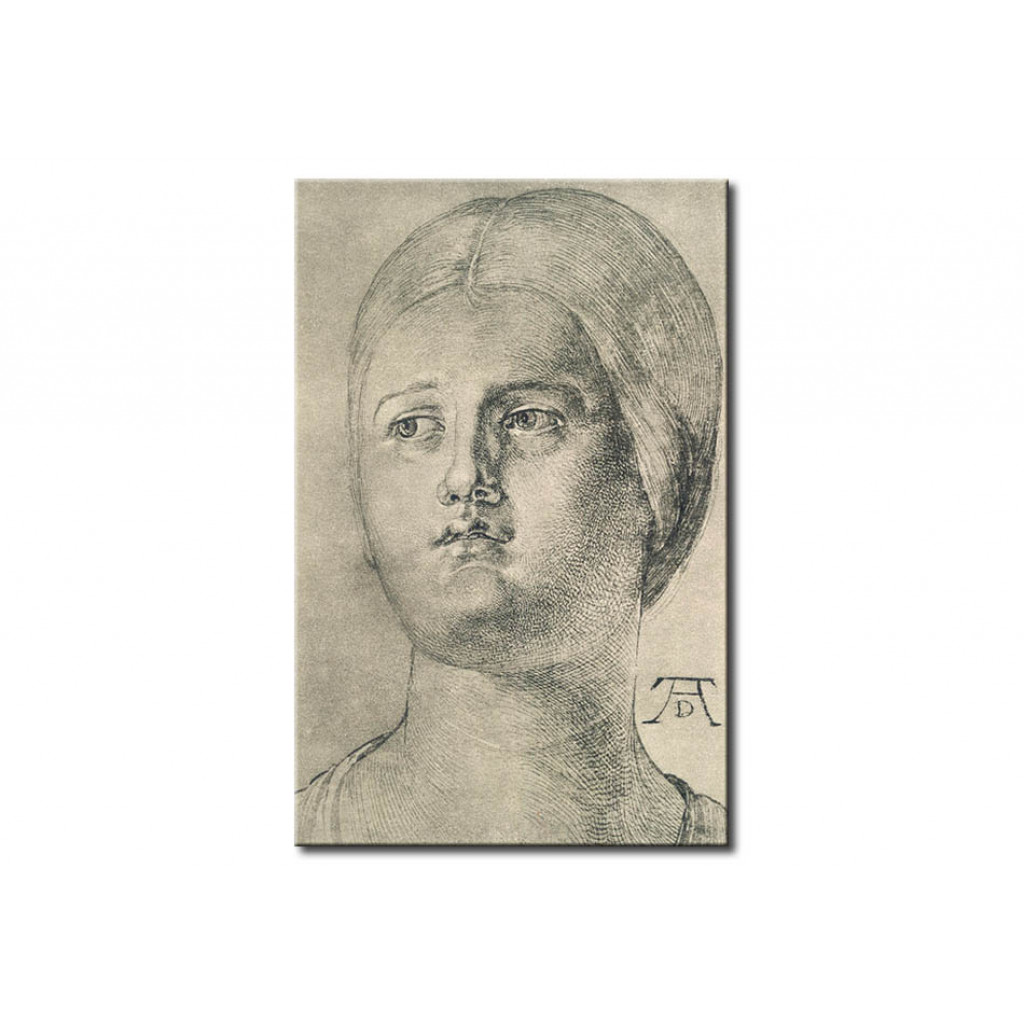 Schilderij  Albrecht Dürer: Head Of A Woman