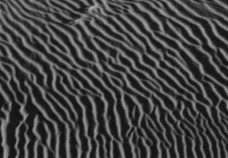 Canvas Layers of the desert - black and white, minimalistic landscape 116468 additionalImage 5