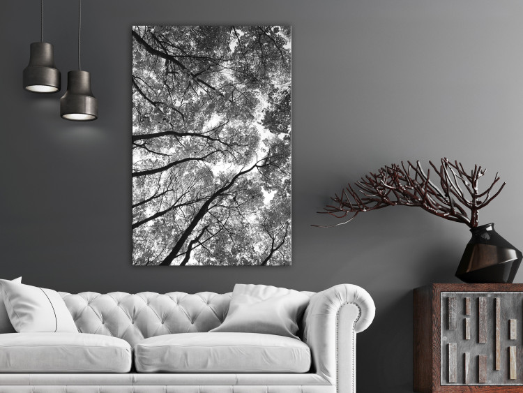 Obraz Korony drzew - czarno-biała fotografia na las, drzewa i niebo 123468 additionalImage 3