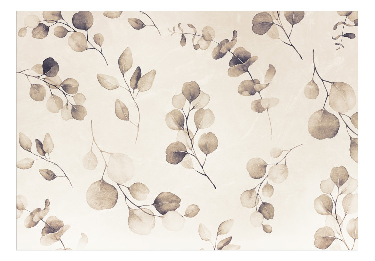 Fototapeta Beżowe liście eukaliptusa – kompozycja z motywem roślinnym 138568 additionalImage 1